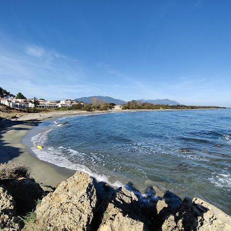 Corse, Residence Marina Di Bravone, Acces Direct Plage Лингиццета Экстерьер фото