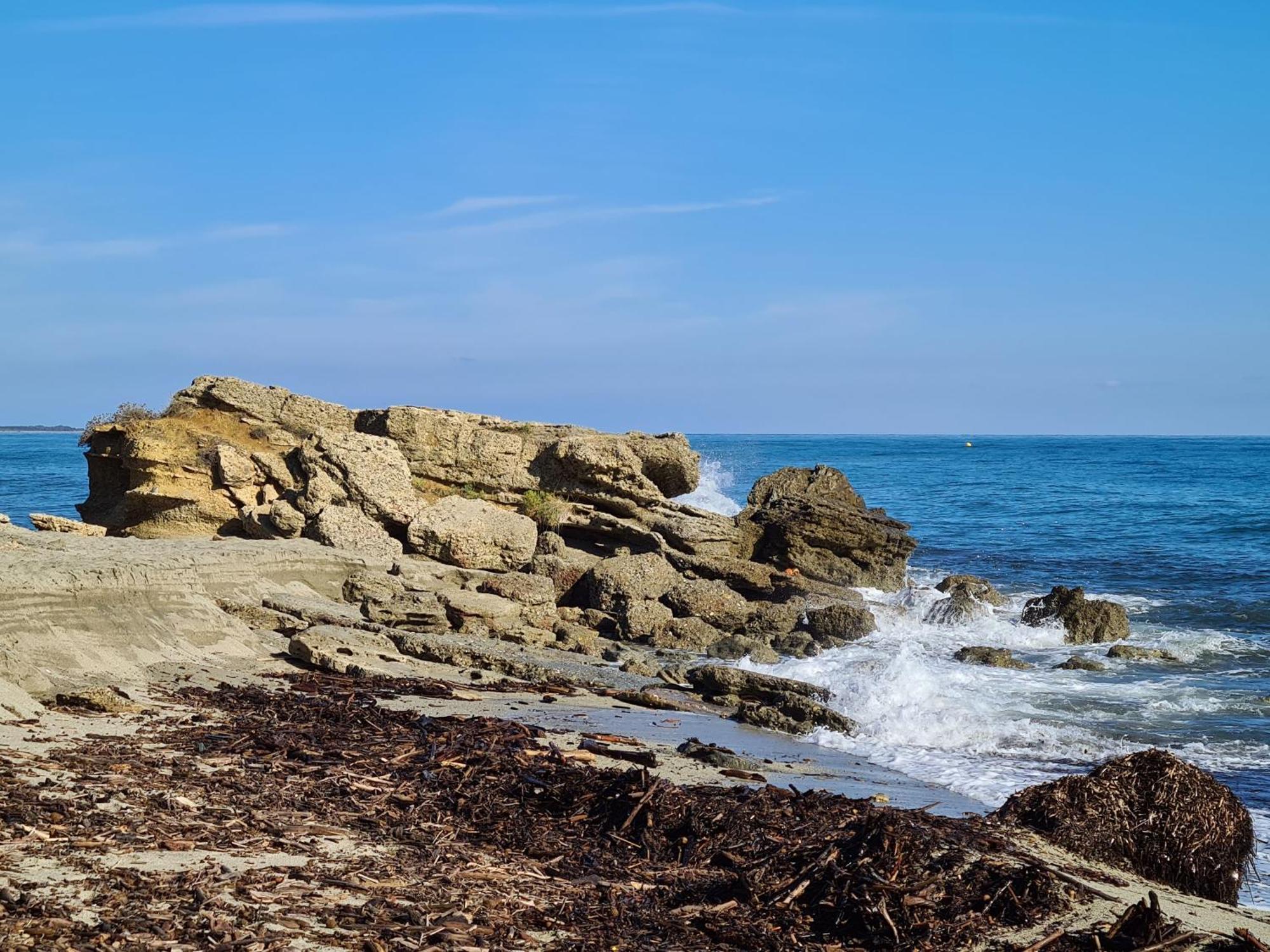 Corse, Residence Marina Di Bravone, Acces Direct Plage Лингиццета Экстерьер фото